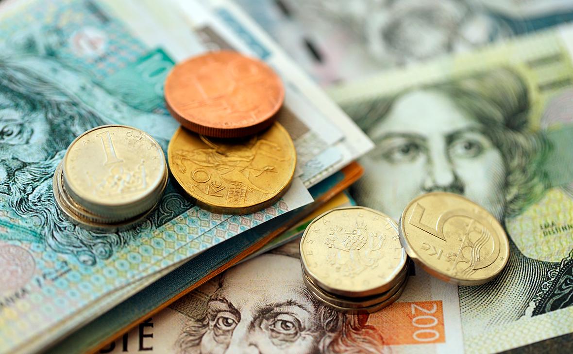 Правительство Чехии поддержало закрепление кроны в конституции