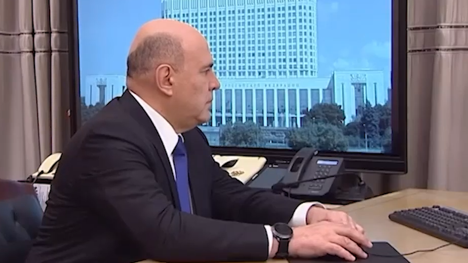 Мишустин проголосовал онлайн на выборах в Госдуму. Видео