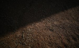 Украина потеряла возможность вывезти больше половины зерна на экспорт