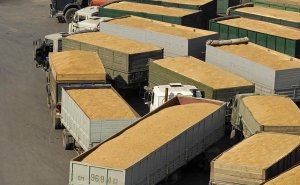 Китай в семь раз увеличил закупки российской пшеницы