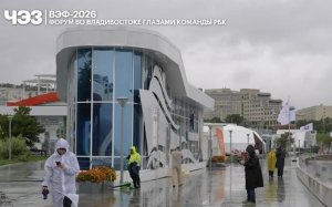 Второй день ВЭФ глазами корреспондентов РБК. Видео