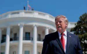 Троценко фразой о Трампе «как хорошей пчеле» оценил закон о санкциях США