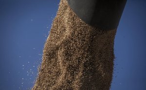 Украина начала искать склады для хранения продовольствия за рубежом