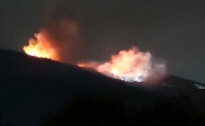 Власти Болгарии увидели сходство взрывов на оружейных заводах
