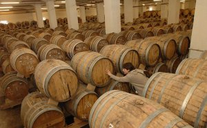 Экспорт Армении в Евросоюз вырос на 80% за полгода и превысил $516 млн