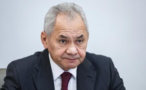 Шойгу выразил соболезнования в связи со смертью генерала Младича