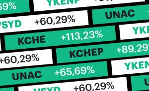 Доходность выше 100%. Какие 10 акций выросли сильнее всего с начала года