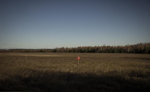 На Украине ввели специальный режим у границ с Россией и Белоруссией