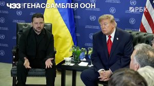 Начало встречи Трампа и Зеленского. Видео с переводом