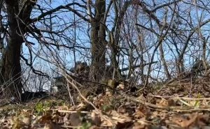 Армия России заняла три села в Харьковской и Запорожской областях