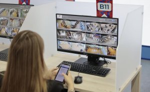 В Думе сообщили о более 200 вбросов на выборах из-за рубежа