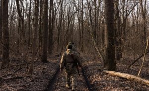 Более 80% украинцев сочли переговоры способом завершения конфликта
