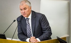 Володин заявил, что драки депутатов в Госдуме ушли в прошлое
