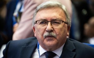 Ульянов связал число «клоунов» в политике с размерами страны