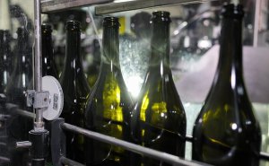 Лут назвала сроки рассмотрения Госдумой закона о продаже вина в интернете