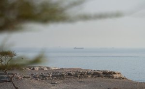 CNN узнал, как секретный план США «перевернул игру» на рынке нефти