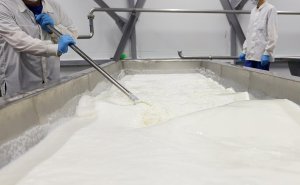 Независимая биоэкономика: как создаются отечественные закваски