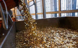 Минфин и ЦБ начали прорабатывать российский стейблкоин