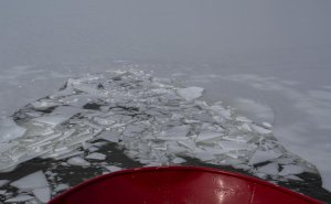Politico узнало о плане ЕС усилить военное присутствие в Арктике